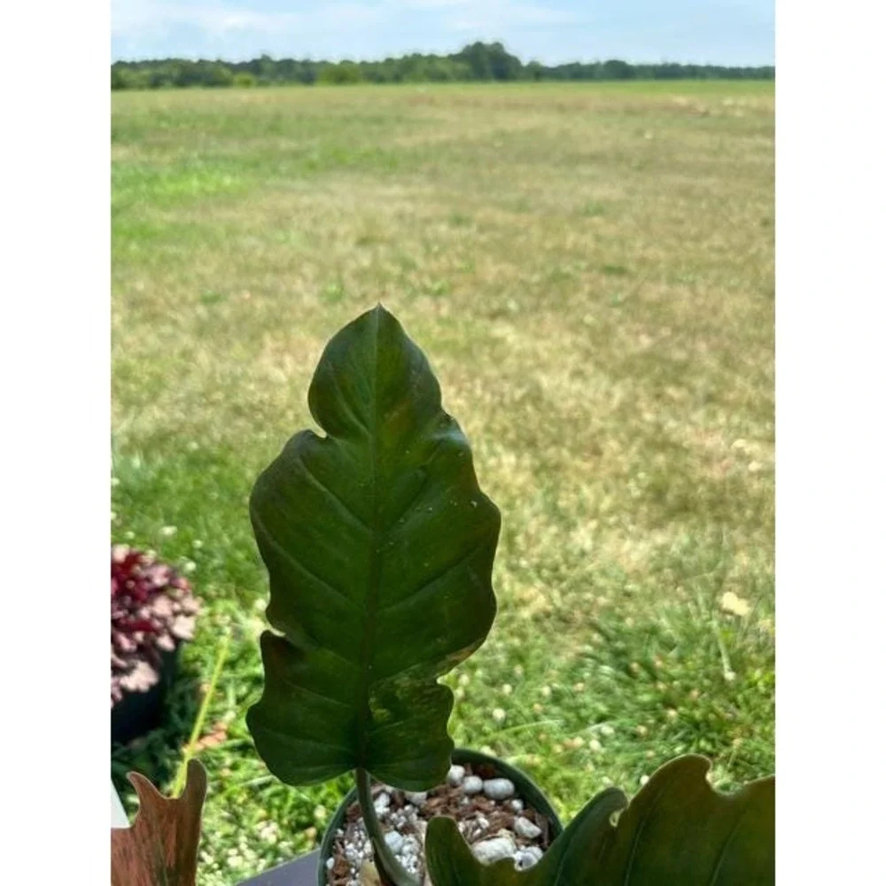 N/A this listing